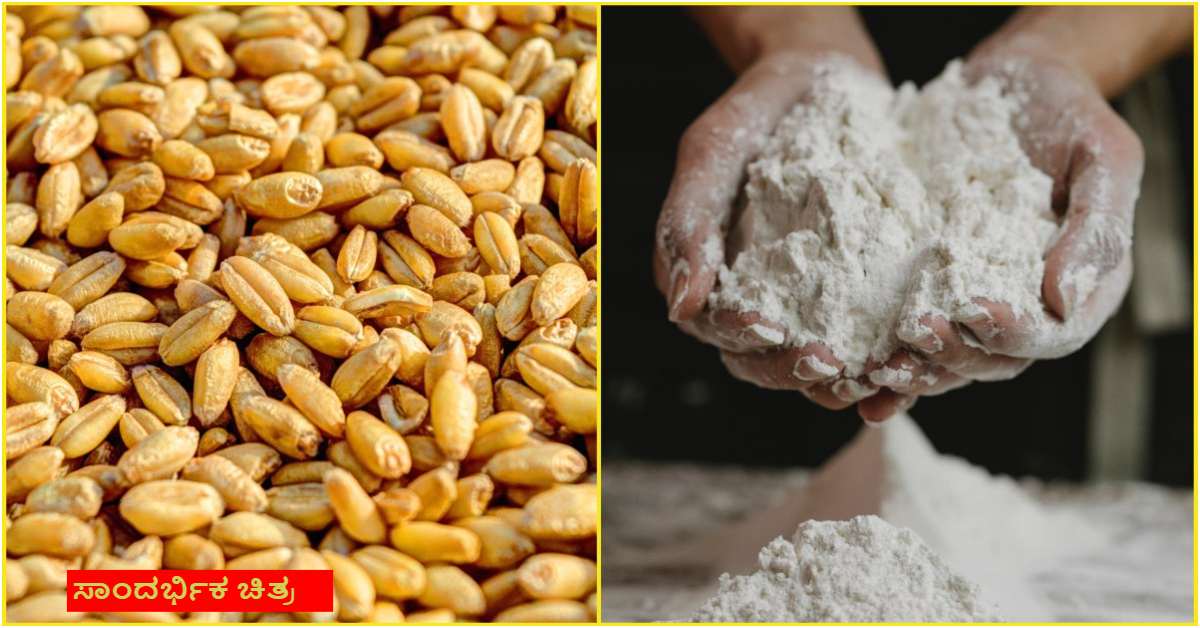 check you wheat flour quality using this tricks
