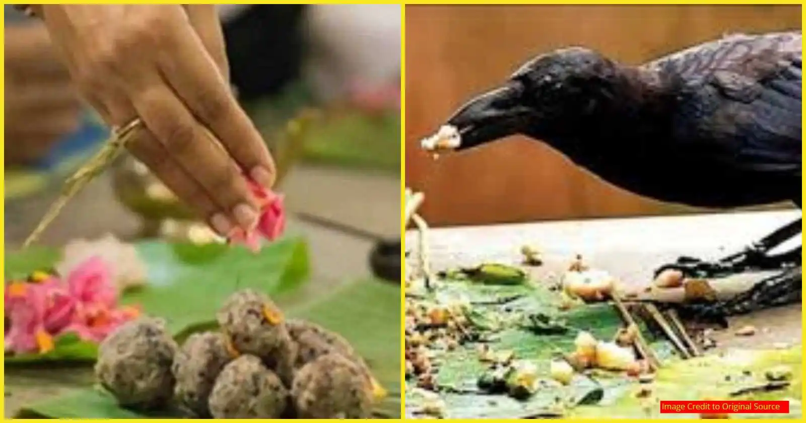Pitru Paksha Details Explained in Kannada- This is how you can get to know that your house have pitru dosha or not.